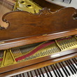 1905 Steinway Louis XV, Sketch 301 - Grand Pianos